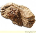 /album/foto%c4%9fraflar%3a-anasayfa/yengec96-1-jpg/